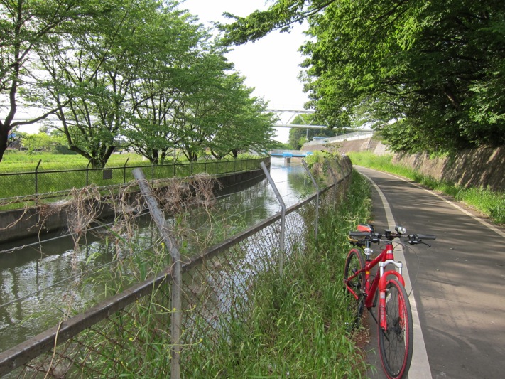 a0141498_028234.jpg