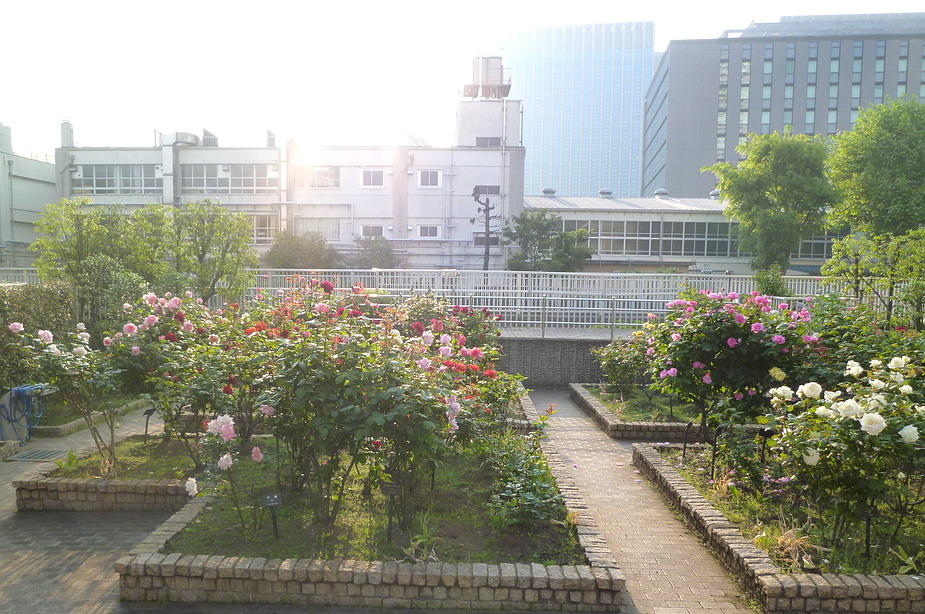 c0138198_1456468.jpg