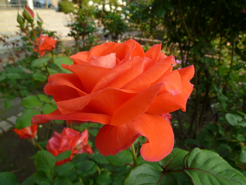c0138198_14595364.jpg