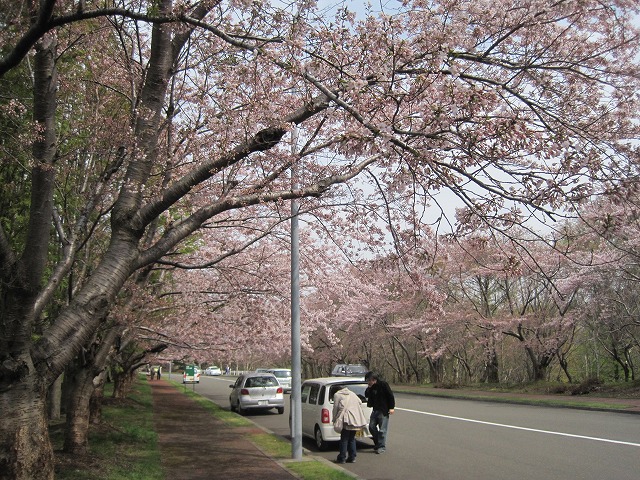 f0202703_716211.jpg