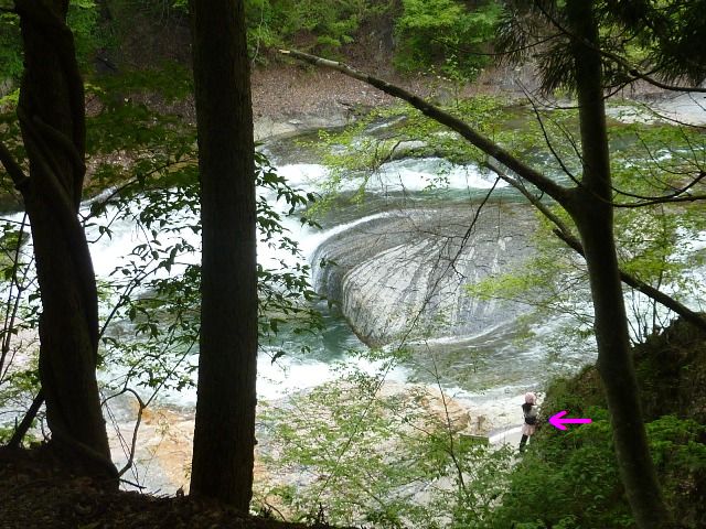 e0018604_1835724.jpg