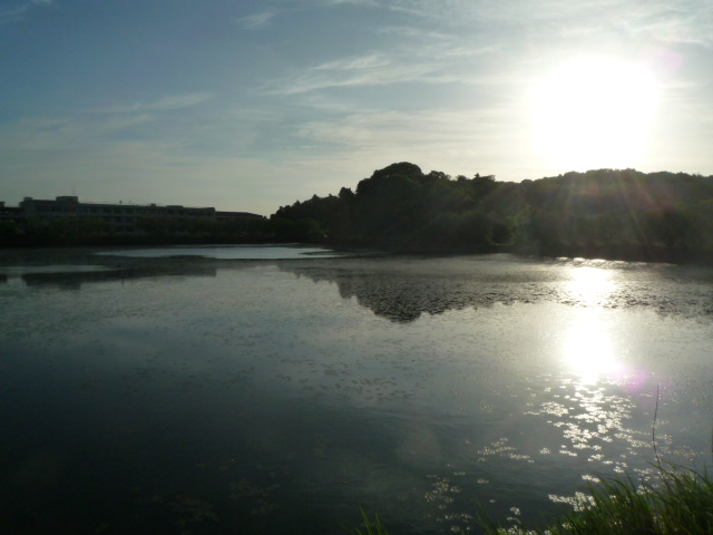 f0219407_2213987.jpg