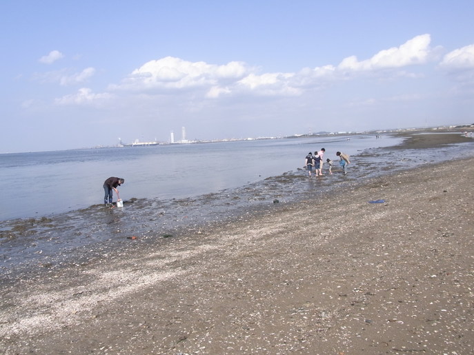b0134008_22405550.jpg