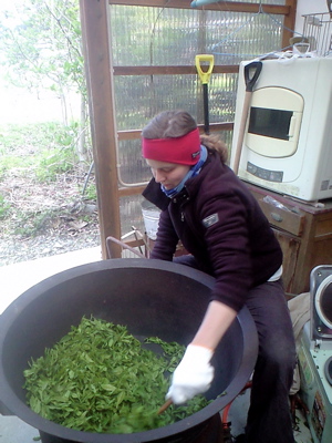 f0135908_1135164.jpg