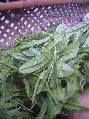f0135908_11365097.jpg