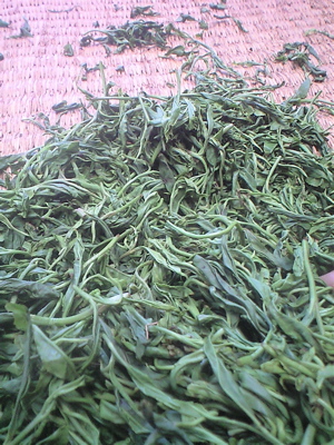 f0135908_11374536.jpg