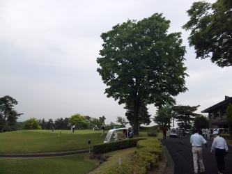 d0091909_16403355.jpg