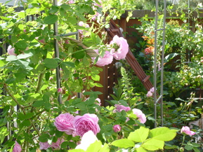 c0207810_22584043.jpg