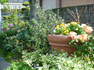 c0207810_2334852.jpg
