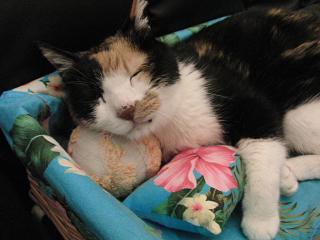 c0201113_18521424.jpg