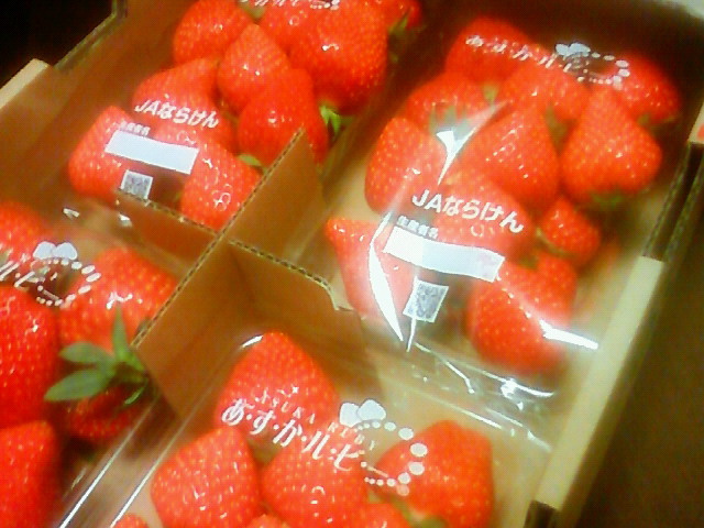 b0148714_0415898.jpg