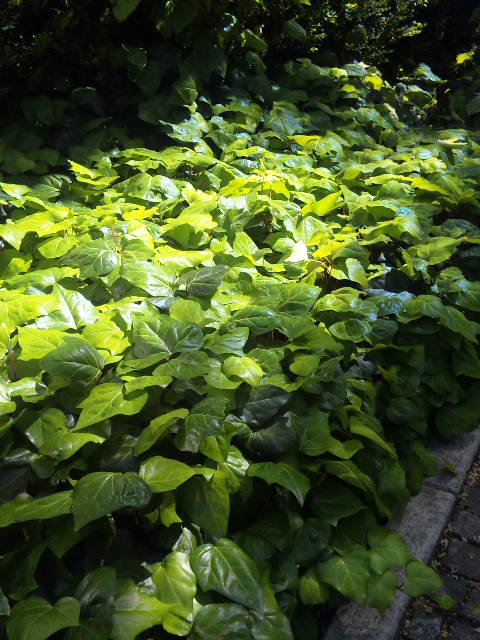 f0056516_214223.jpg