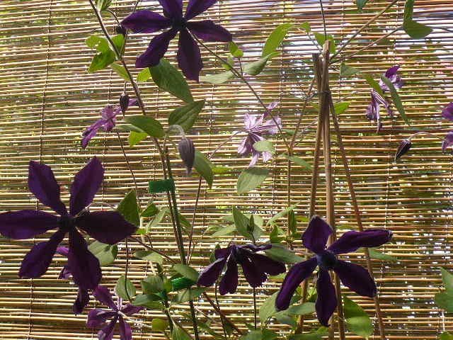 e0026017_23113113.jpg