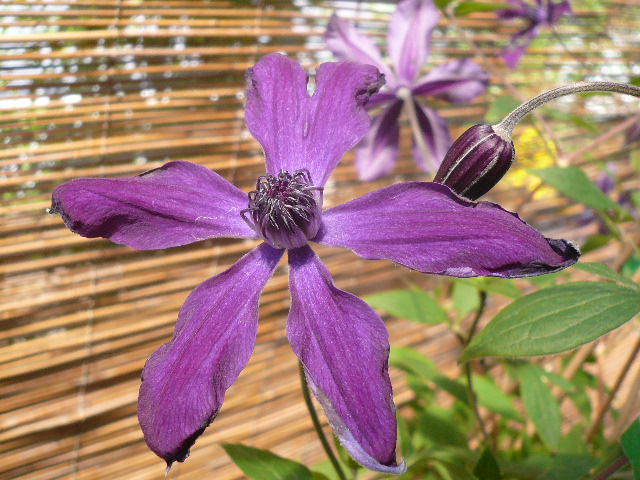 e0026017_23115528.jpg
