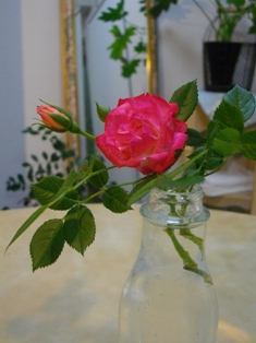 e0119017_18214450.jpg