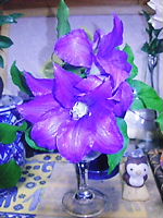 a0111618_1735595.jpg