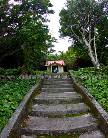 c0174019_22381272.jpg
