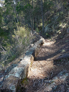 c0013324_13475391.jpg