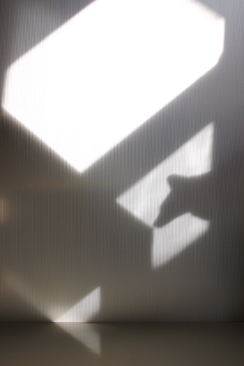 e0090124_7404699.jpg