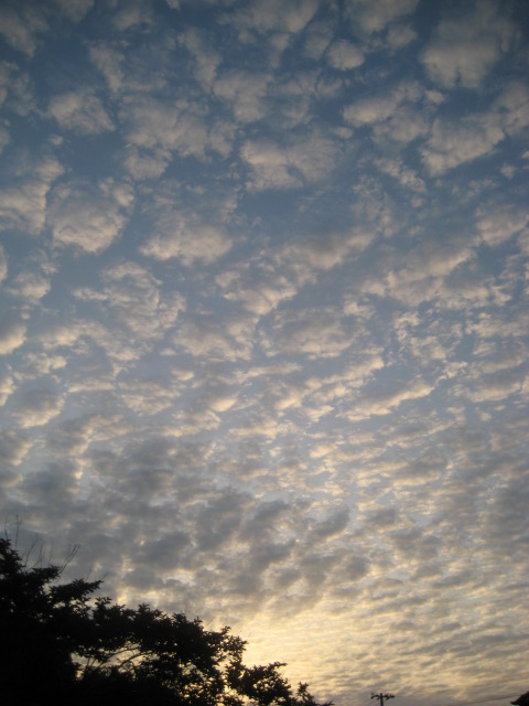 d0147727_1984398.jpg