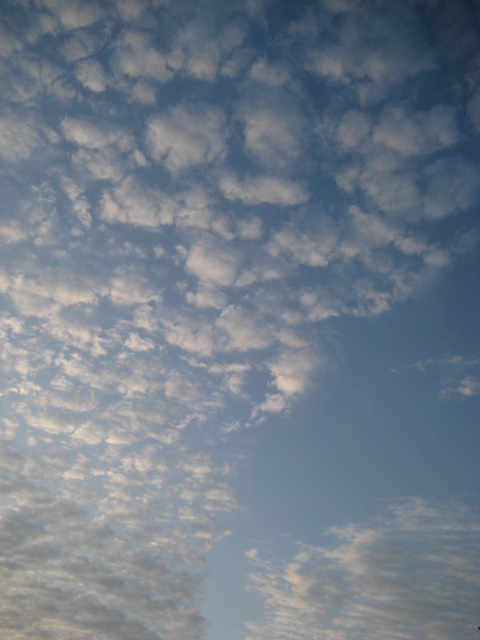 d0147727_199655.jpg