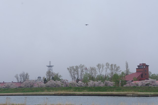 f0046128_4494035.jpg