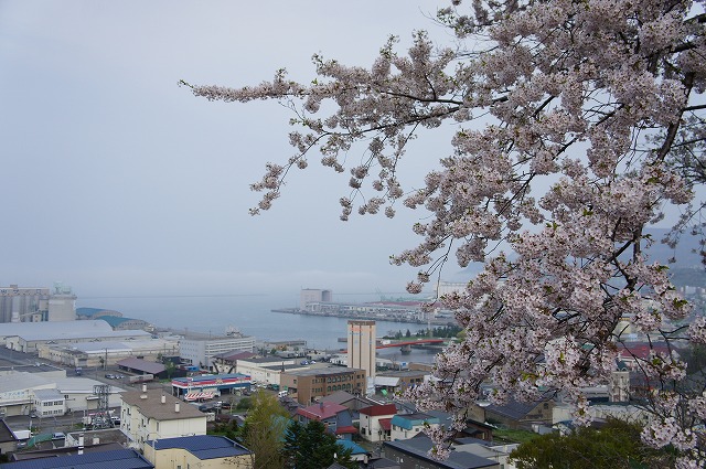 f0046128_5205892.jpg