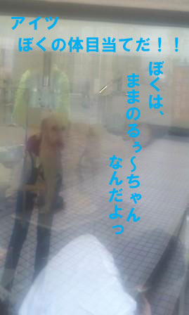 f0176830_12412035.jpg