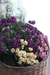 f0200036_12291863.jpg