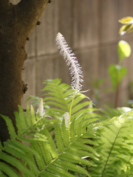 c0219737_2041628.jpg