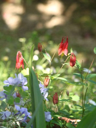 c0219737_216359.jpg