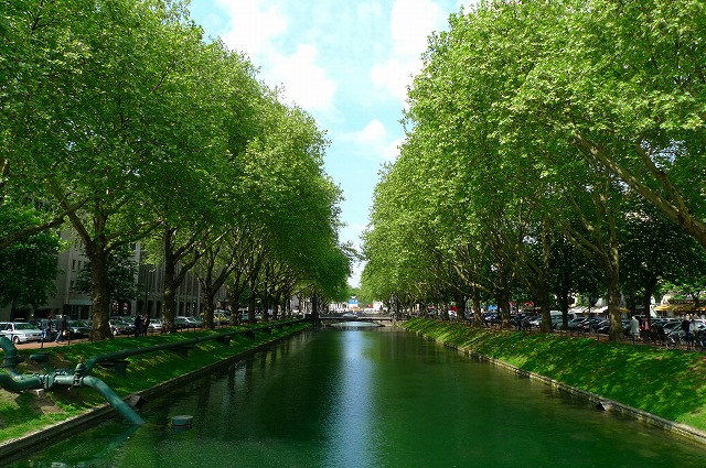 c0153740_6294099.jpg