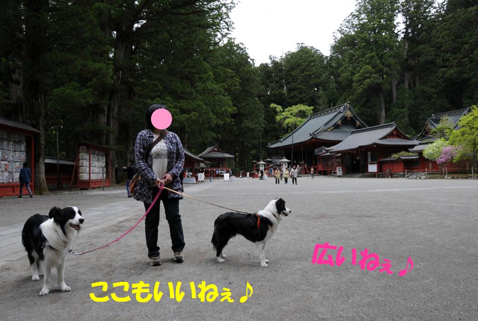 c0147241_2226122.jpg