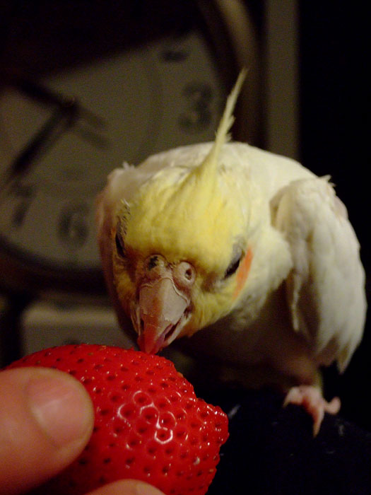 e0006242_18103340.jpg