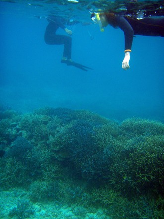 f0014842_18183860.jpg