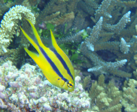 f0014842_18205414.jpg