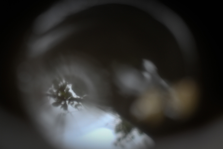 c0214345_1248344.jpg