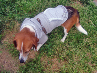 c0086746_117650.jpg