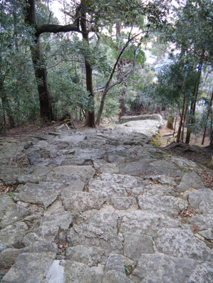 c0190847_19515730.jpg