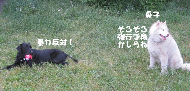 e0121548_10575444.jpg