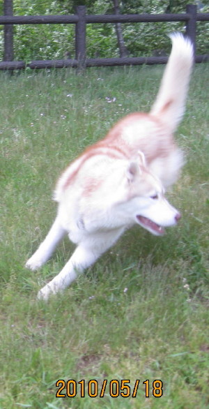 e0121548_10594747.jpg