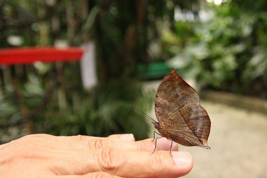 a0094850_772629.jpg