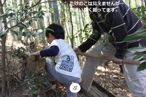 a0090451_0404065.jpg