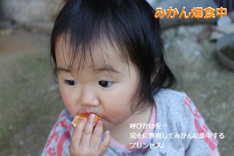 a0090451_0421167.jpg