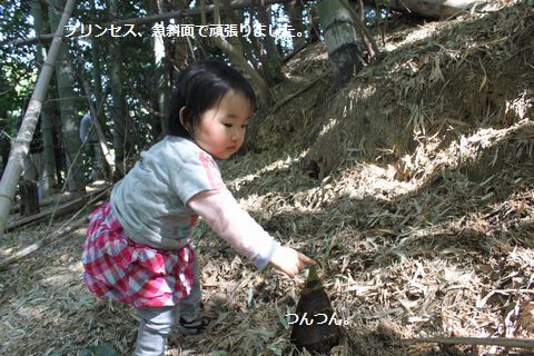 a0090451_1512096.jpg
