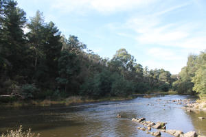 b0153351_13475257.jpg