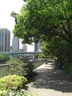 f0009451_9293415.jpg
