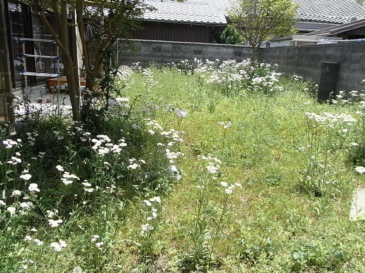 f0178153_8512916.jpg