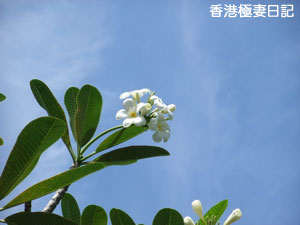 f0190653_937223.jpg