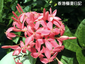 f0190653_9375586.jpg